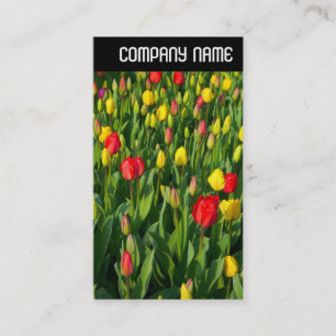 V Header - Colourful Tulips II Business Card