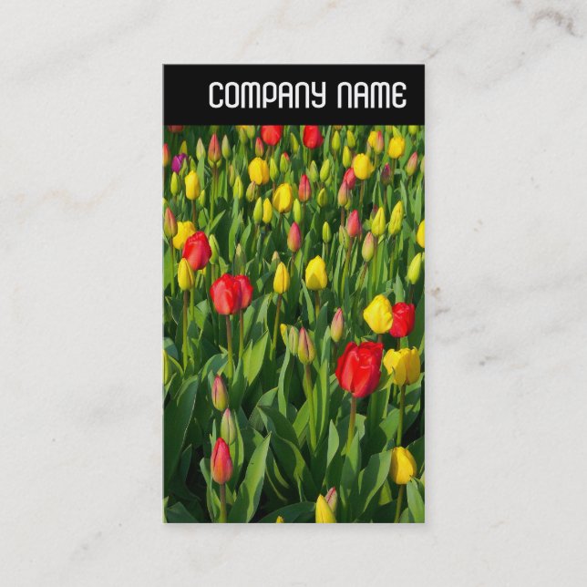 V Header - Colourful Tulips II Business Card (Front)