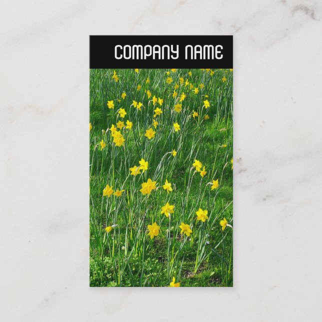 V Header - Daffodils/Narcissus Business Card (Front)