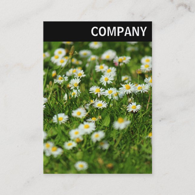 V Header - Daisy Meadow Business Card (Front)