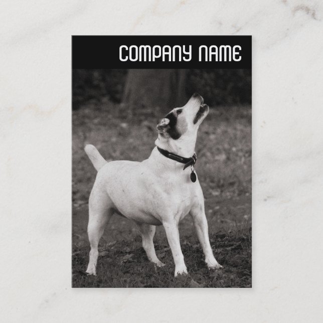 V Header - Dog Agog Business Card (Front)