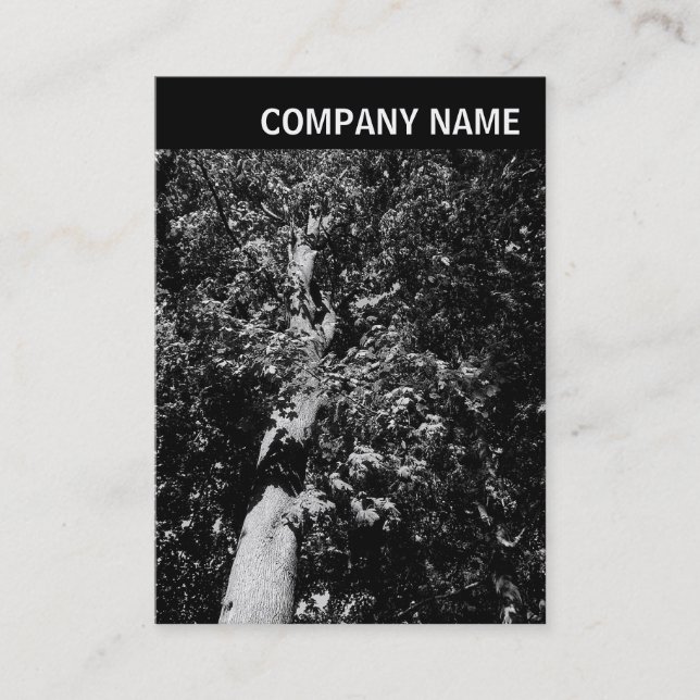 V Header - Image - Plane Tree Business Card (Front)