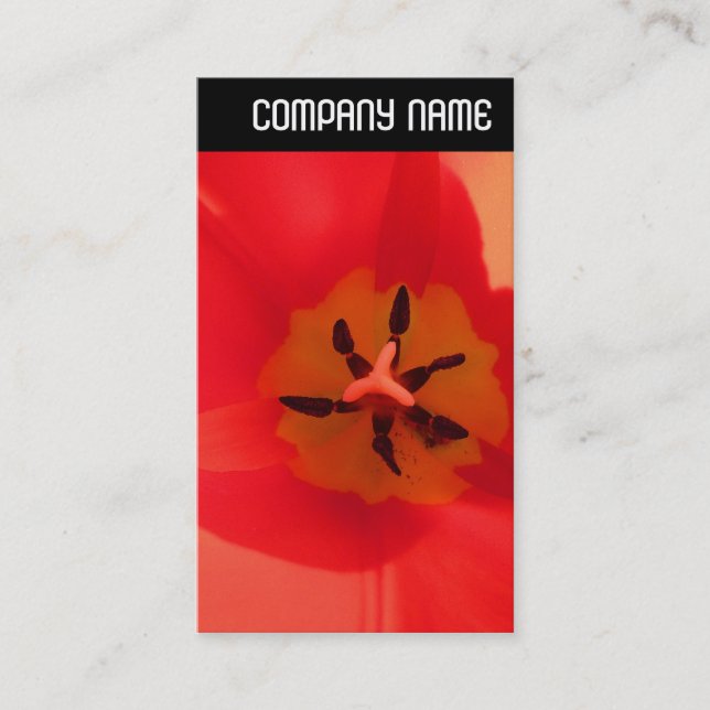 V Header - Inside a Tulip Business Card (Front)