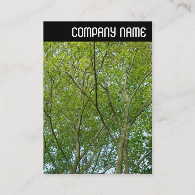 V Header - Japanese Maple Business Card (Front)
