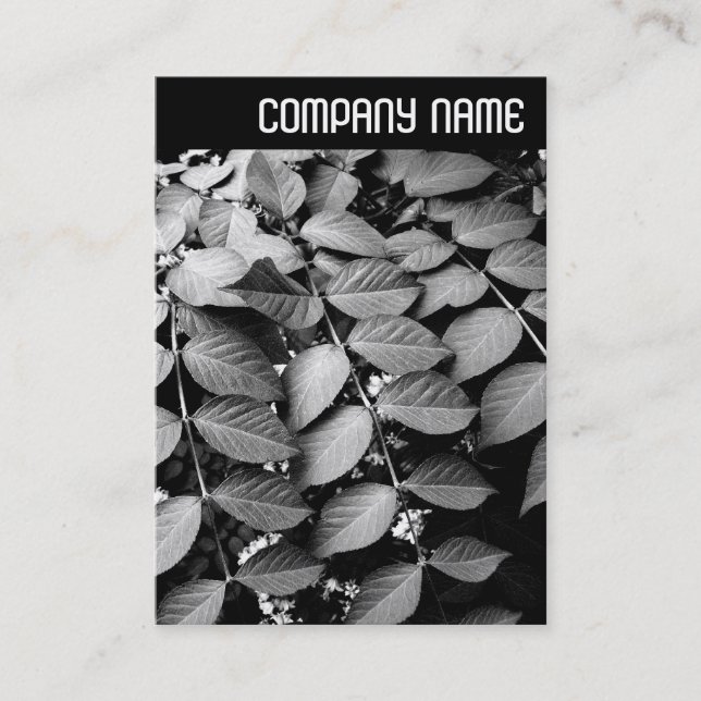 V Header - Leaves Business Card (Front)