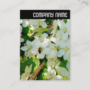 V Header - Making Honey Business Card