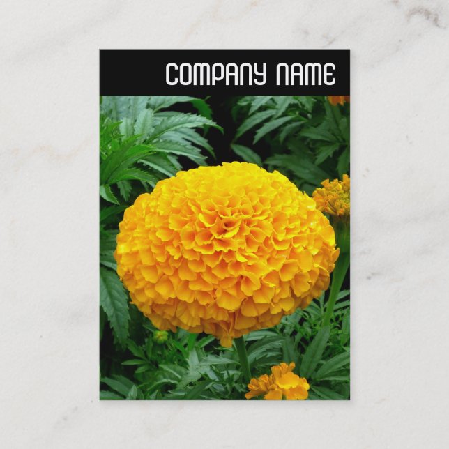 V Header - Orange Chrysanthemum Business Card (Front)