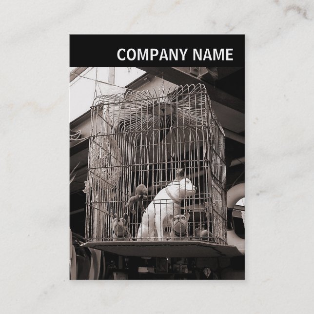 V Header - Photo - Caged Beasts Business Card (Front)