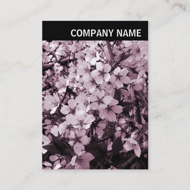 V Header - Photo - Cherry Blossom Business Card (Front)