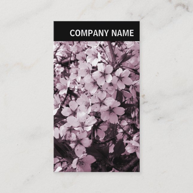 V Header - Photo - Cherry Blossom Business Card (Front)