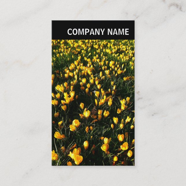 V Header - Photo - Crocuses Business Card (Front)