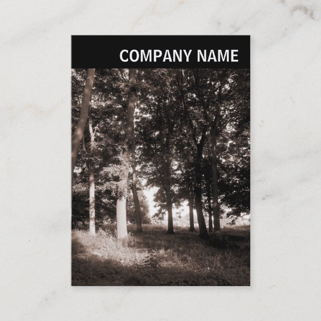 V Header - Photo - Park Landscape Business Card (Front)