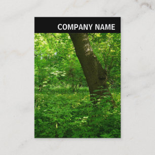 V Header - Photo - Spring in the Woods Business Card