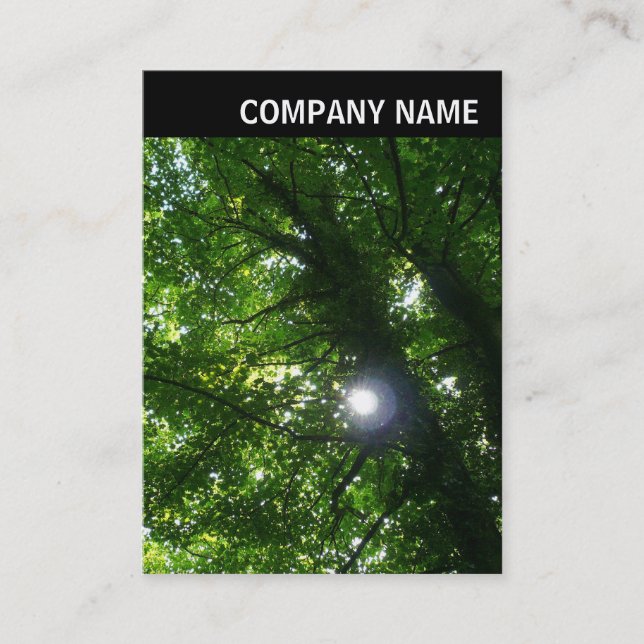 V Header - Photo - Sun in The Trees Business Card (Front)