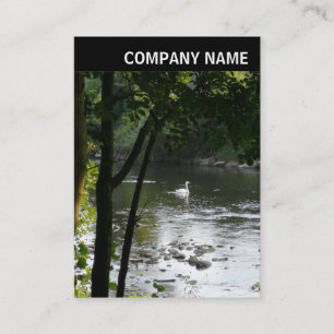 V Header - Photo - Swan on the River Business Card