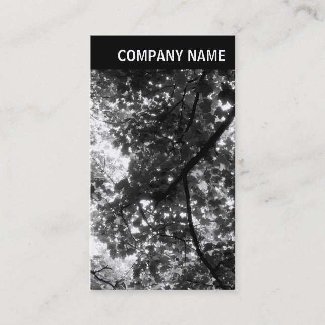 V Header - Photo - Trees in Spring Business Card (Front)