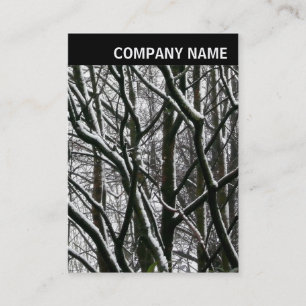V Header - Photo - Winter Branches Business Card
