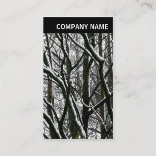 V Header - Photo - Winter Branches Business Card