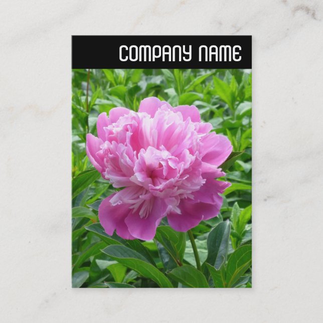 V Header - Pink Peony Business Card (Front)