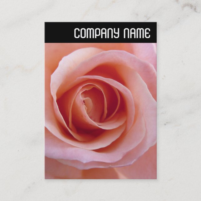 V Header - Pink Rose Business Card (Front)