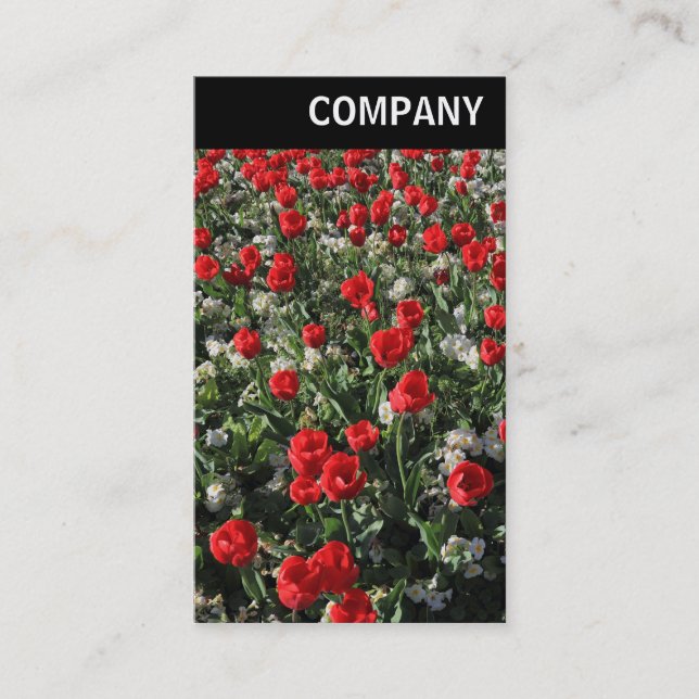 V Header - Red Tulips and Primroses Business Card (Front)
