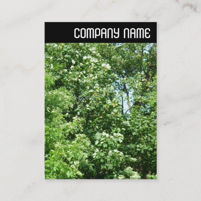 V Header - Summer Breeze Business Card (Front)