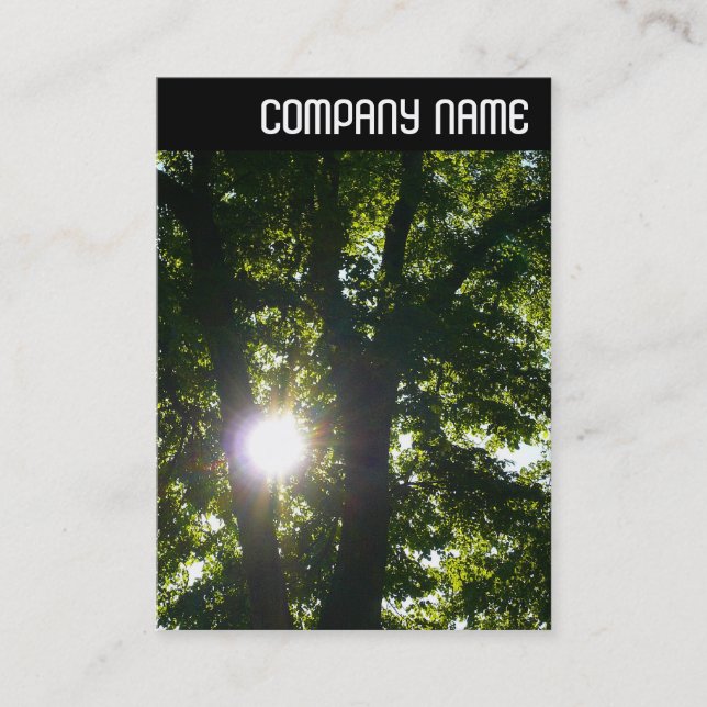 V Header - Sun Through Trees Business Card (Front)
