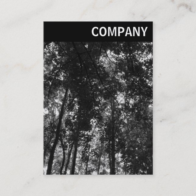 V Header - Woodland Canopy 01 BW Business Card (Front)