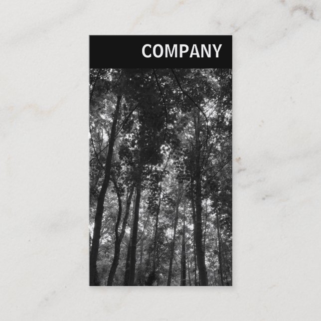 V Header - Woodland Canopy 02 BW Business Card (Front)