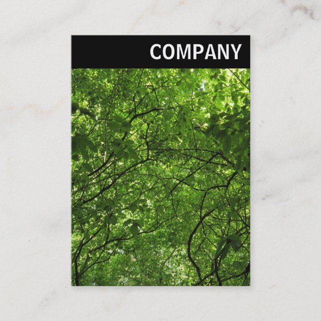 V Header - Woodland Canopy Business Card (Front)