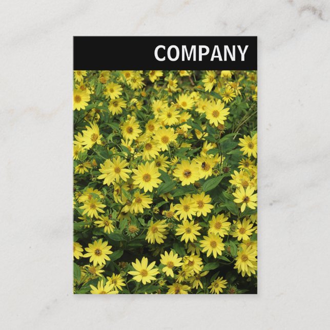 V Header - Yellow Daisies Business Card (Front)