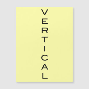 V MAGNETIC CARD
