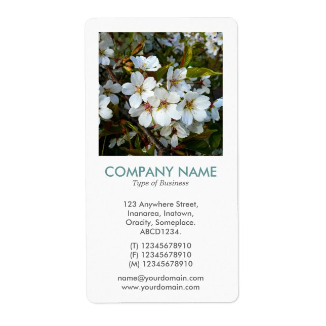 V Square Photo - Cherry Blossom (Front)