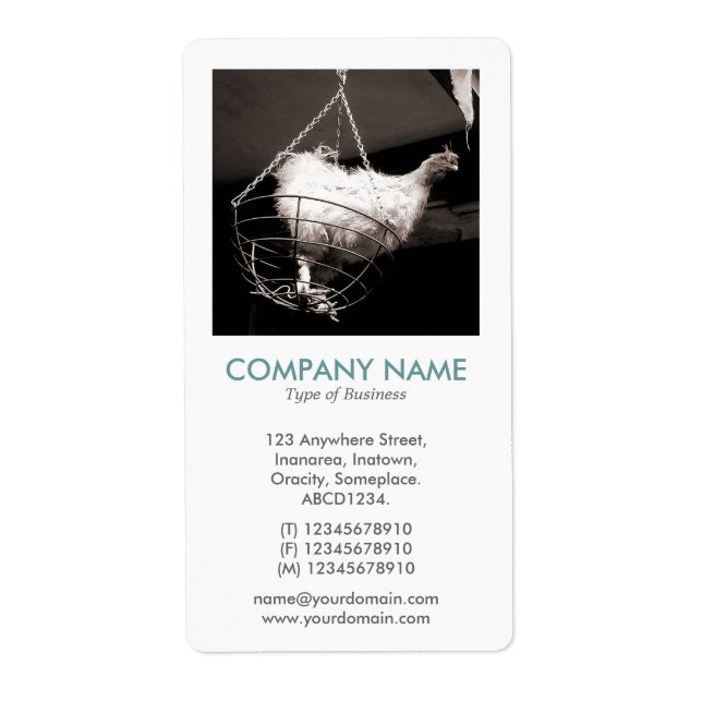 V Square Photo - Chicken in a Basket (Front)