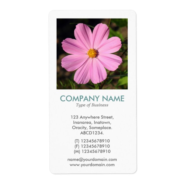 V Square Photo - Pink Cosmos (Front)