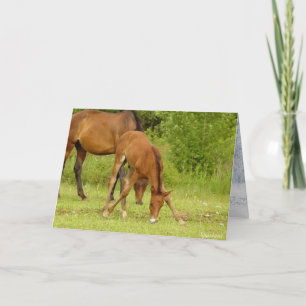 "Va bébé, vas-y ! Carte de voeux