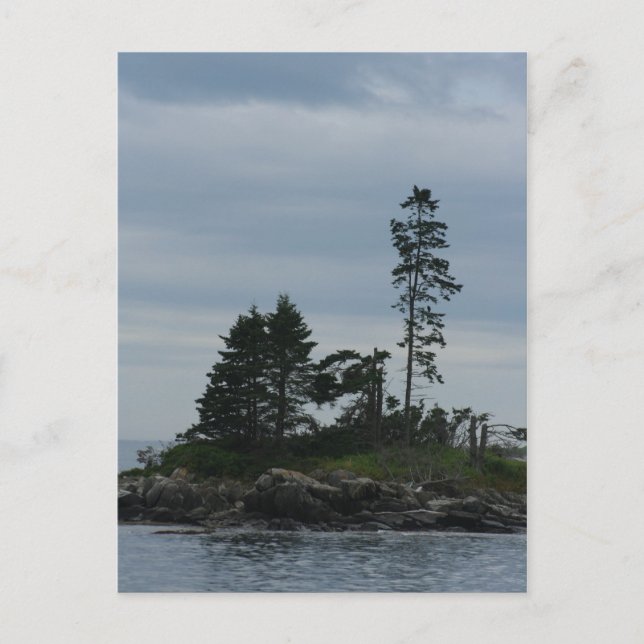 Vacation Postcard (Front)