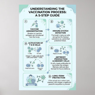 Vaccination Process Explained: A 5-Step Immunity Poster