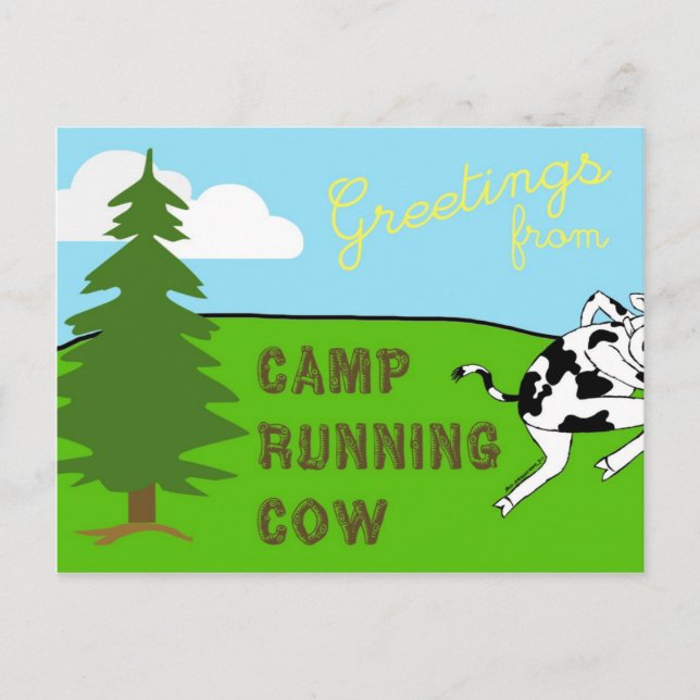 Vache courante à camp - carte postale (Devant)