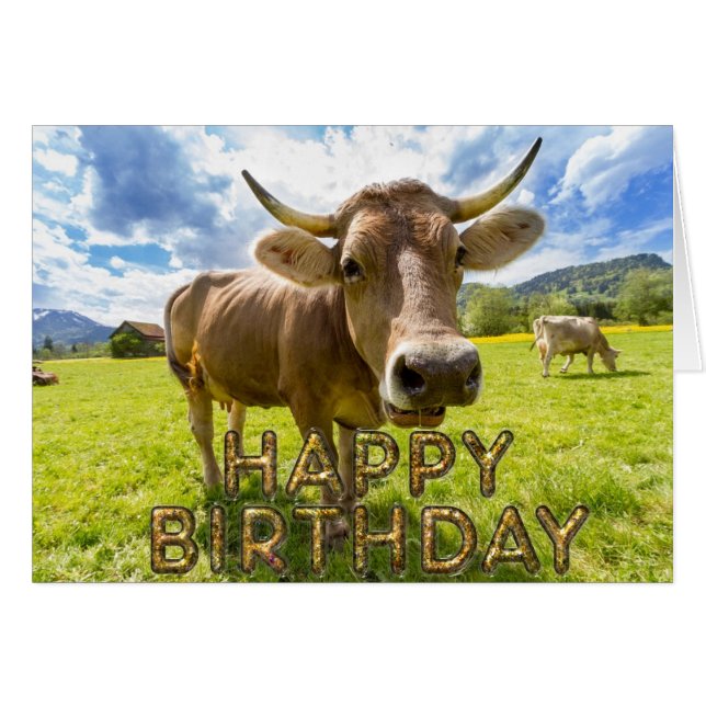 Vache curieuse (Devant horizontal)