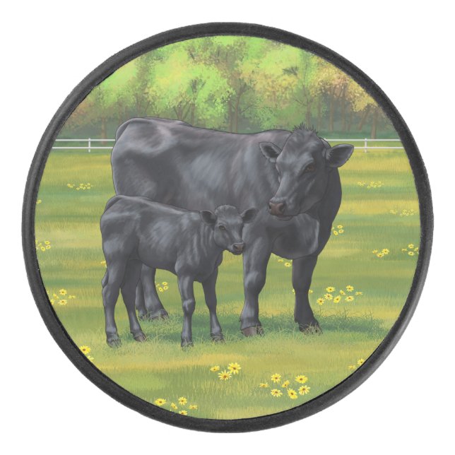 Vache d'Angus noir et veau mou en pâturage d'été (Devant)