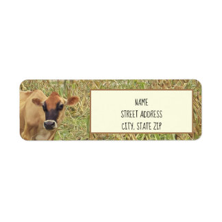 Vache dans un Cornfield Étiquettes de adresse