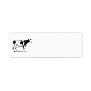 Vache du Holstein