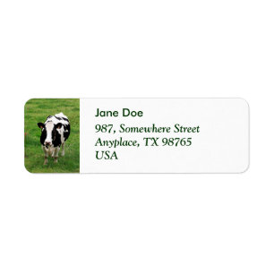 Vache du Holstein