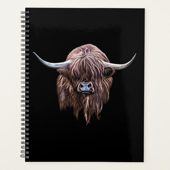 Vache écossaise des Highlands en couleur (Devant)