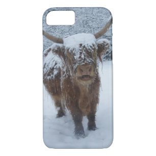 Vache Highland Dans Le coque iphone De Neige