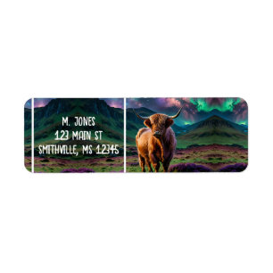 Vache Highland sous les étoiles