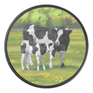 Vache Holstein et veau mignon en pâturage d'été