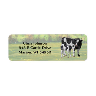 Vache Holstein et veau mignon en pâturage d'été