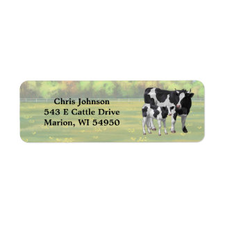 Vache Holstein et veau mignon en pâturage d'été